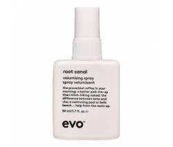 Evo: Спрей для прикорневого объема Путь к корням (Root Canal Volumising Spray), 50 мл