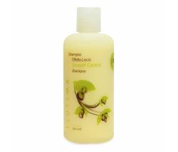 Teotema Care Smooth Control: Разглаживающий Шампунь (Shampoo), 250 мл