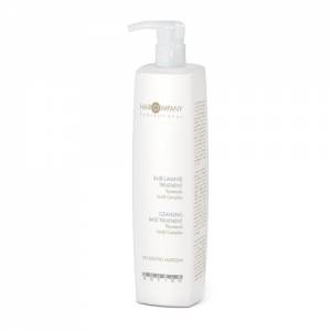 Hair Company Double Action: Моющая основа (Double Action Cleansing Base Treatment), 1000 мл