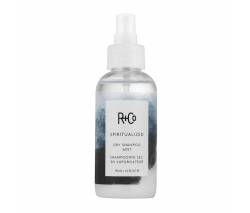 R+Co: Жидкий сухой шампунь "Экзорцист" (Spiritualized Dry Shampoo Mist), 119 мл