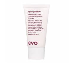 Evo: Крем глубокой очистки для вьющихся и кудрявых волос "Генеральная уборка" (Springsclean Deep Clean Rinse) тревел, 30 мл