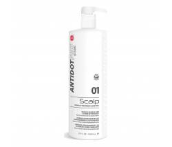 AntidotPro: Эмульсия-Antidot для защиты кожи головы (01 Scalp Chemical Treatment Additive), 1000 мл