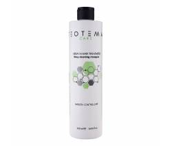 Teotema Care: Очищающий Шампунь с Кератином (Keratin Hair Treatment Deep Cleaning Shampoo), 500 мл