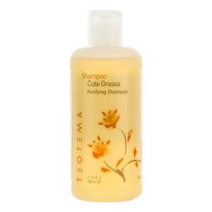 Teotema Care Sebum Specific: Шампунь против жирности волос (Purifying Shampoo)
