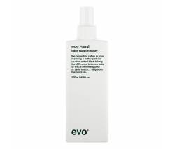 Evo: Спрей для прикорневого объема Путь к корням (Root Canal Volumising Spray), 200 мл