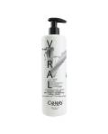 Celeb Luxury Viral: Шампунь для яркости цвета Серебрянный (Shampoo Extreme Silver), 740 мл