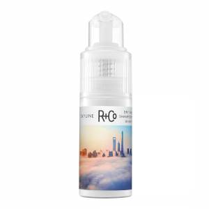 R+Co: Сухой шампунь "Горизонт" (Skyline Dry Shampoo Powder), 28 гр