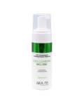 Aravia Professional Gentle Skin: Мусс очищающий с охлаждающим эффектом с алоэ вера и аллантоином (Cool Cleansing Mousse), 160 мл