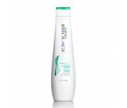 Matrix Biolage Scalpsync: Шампунь против перхоти Скалпсинк (Anti-Dandruff Scalp Sync Shampoo), 250 мл