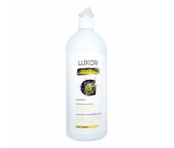 Luxor Home: Шампунь энергетический, предохраняющий от выпадение волос с экстрактами конского каштана и шиповника (Energezing Shampoo), 1000 мл