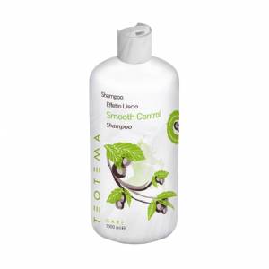 Teotema Care Smooth Control: Разглаживающий Шампунь (Shampoo)