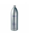 Farmavita Amethyste Silver: Шампунь для осветленных и седых волос (Silver Shampoo), 1000 мл