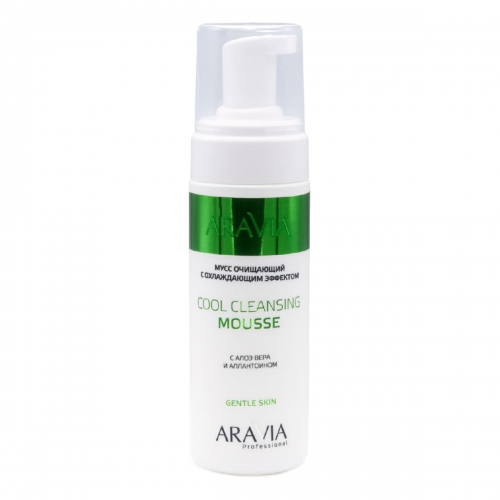 Aravia Professional Gentle Skin: Мусс очищающий с охлаждающим эффектом с алоэ вера и аллантоином (Cool Cleansing Mousse), 160 мл